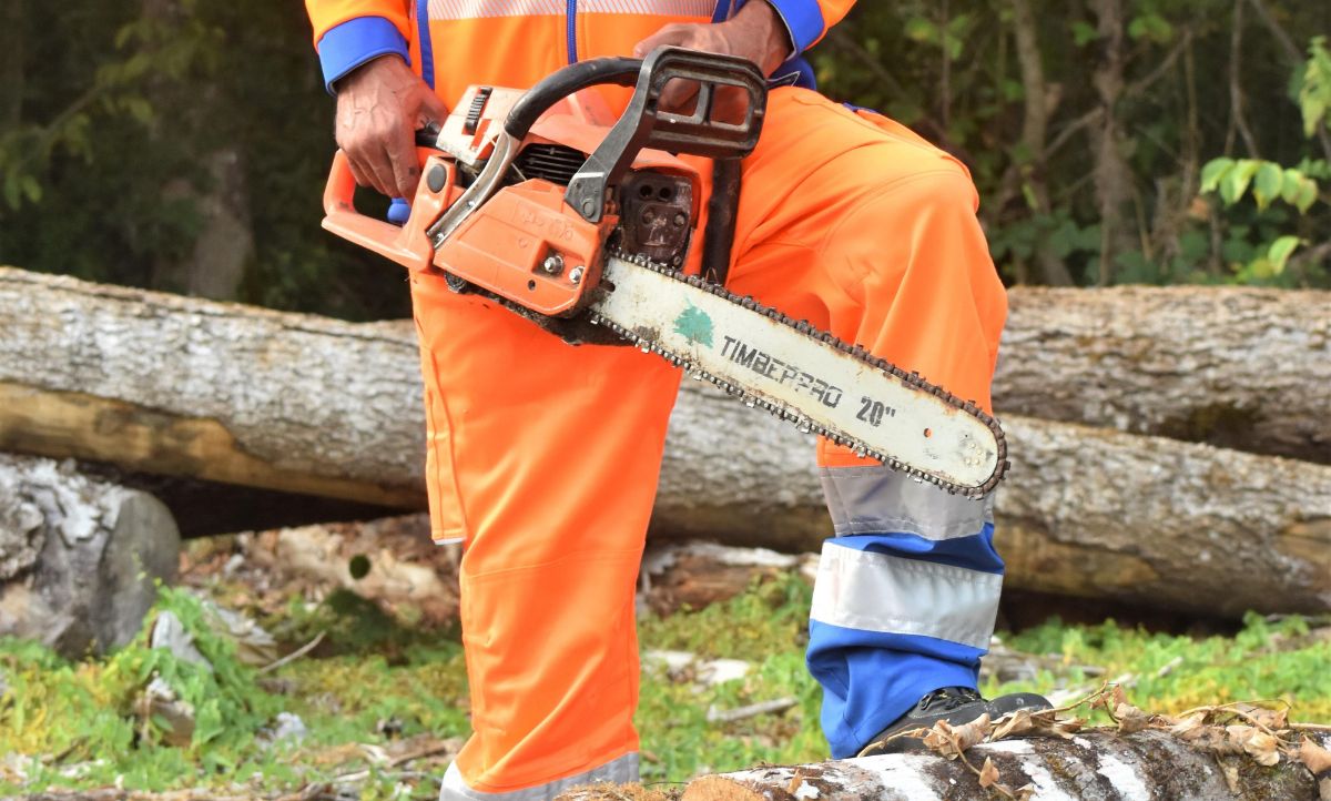 A favágó szakember dolgozik