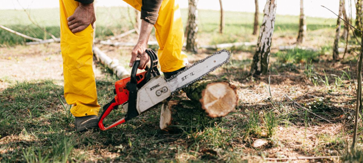 Fakivágás Árak, Fakitermelő Költségek