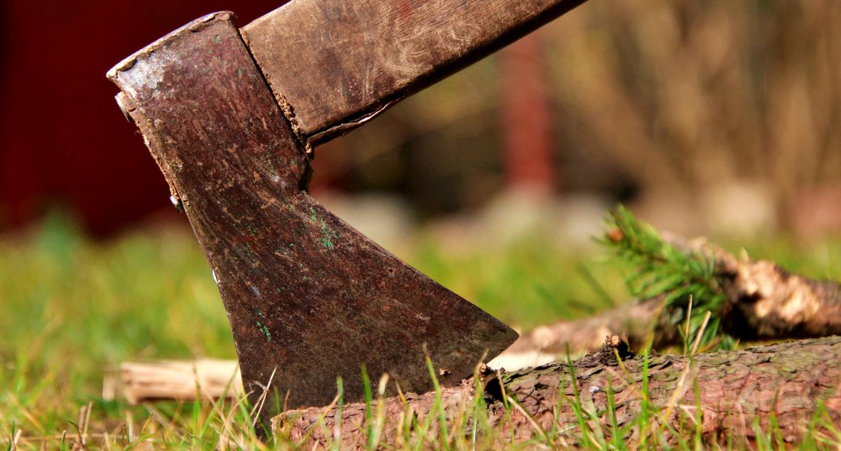 Fejszével Vágva A Fát