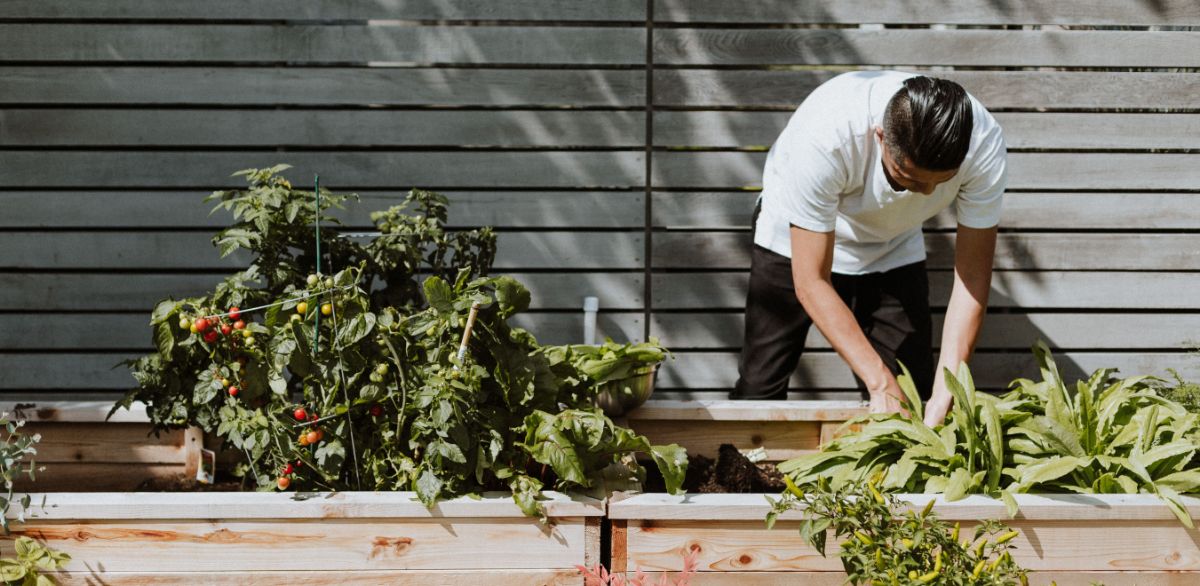 A gyomlálás közben