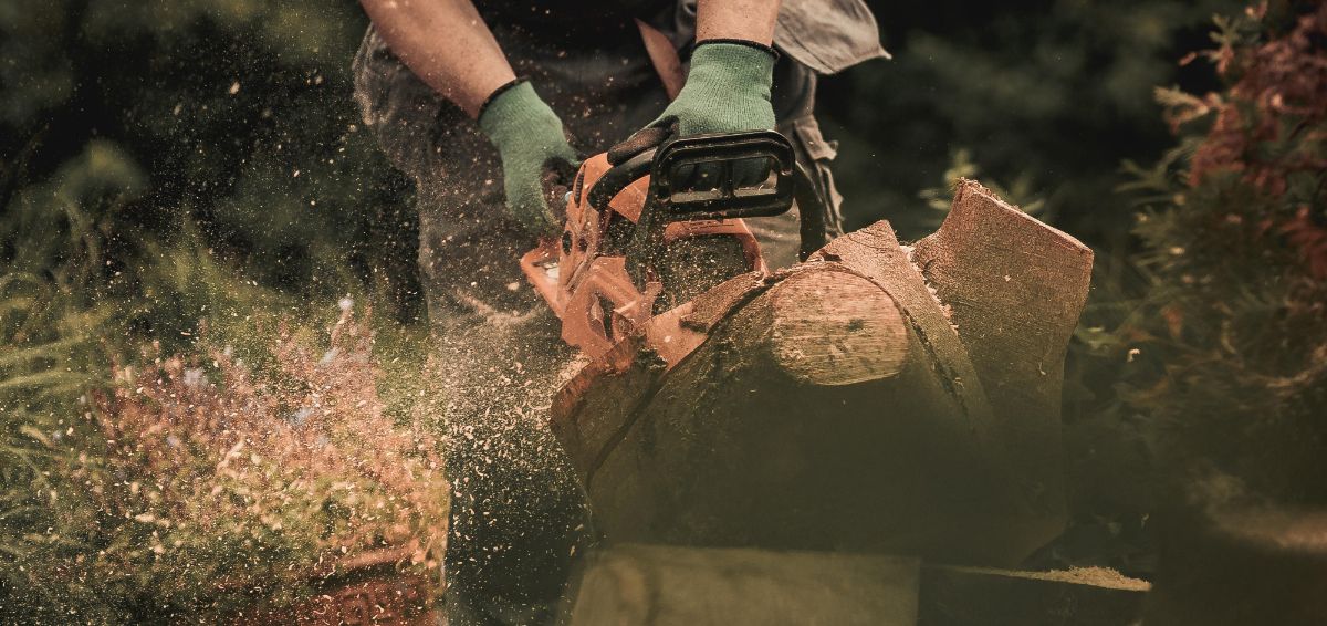 Láncfűrésszel vágva