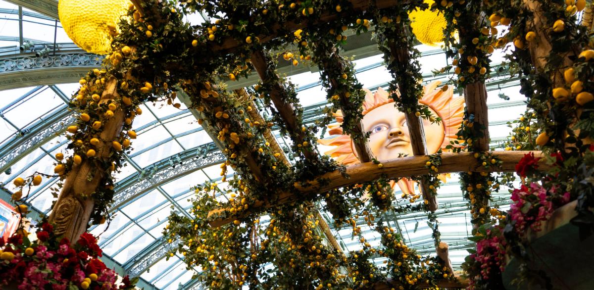 Választási Szempontok