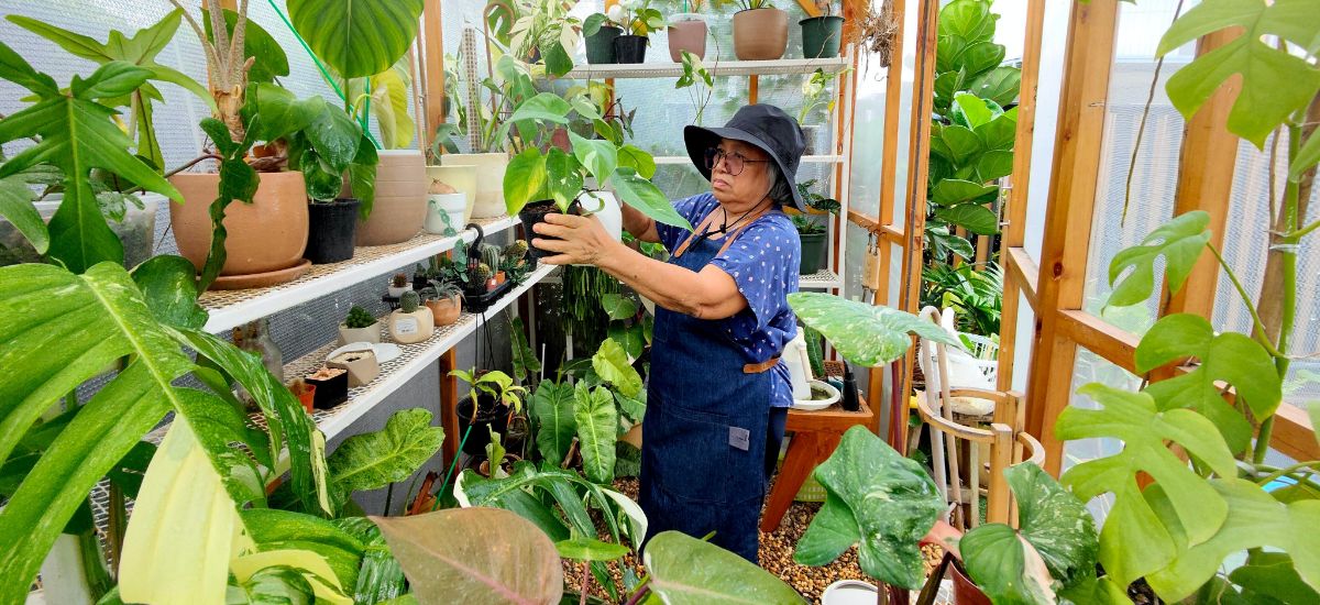 A kertész az üvegházban