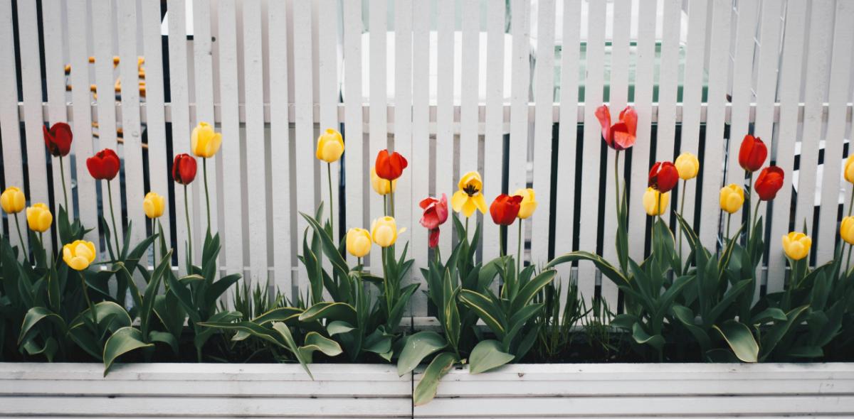 A szakember leterheltsége