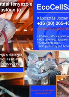 Káposztás József E.V.