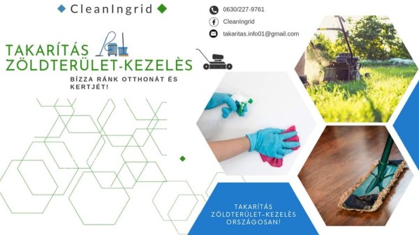 CleanIngrid