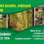 NÉMETH SZABOLCS