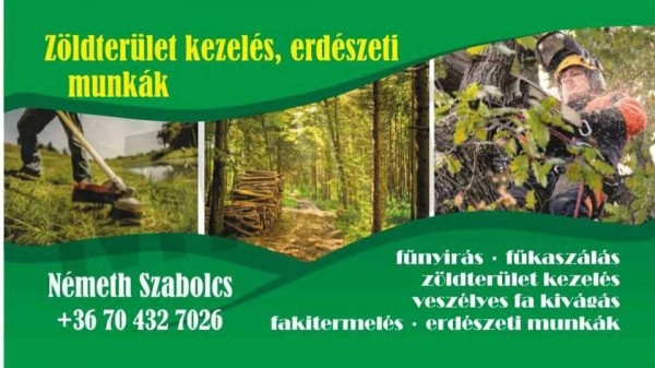 NÉMETH SZABOLCS
