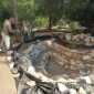 Referencia 12