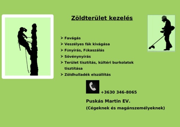Puskás Martin