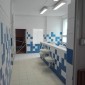 Referencia 6