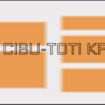 Cibu-Toti kft
