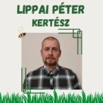 Lippai Péter E.V.