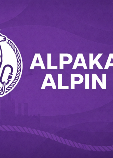 Molnár Gábor ev. , Alpaka Alpin